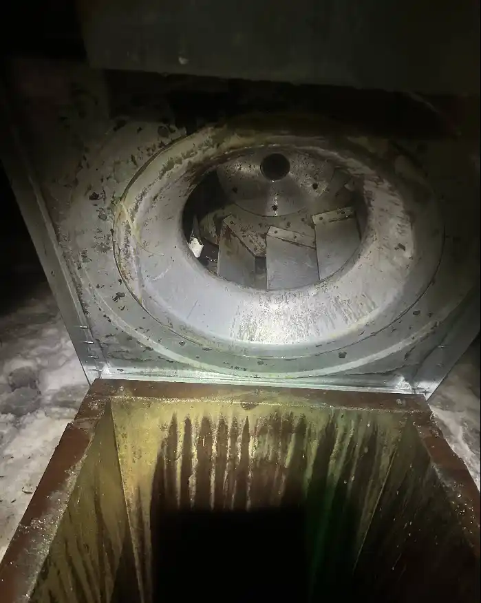 Bathroom floor deep cleaning
